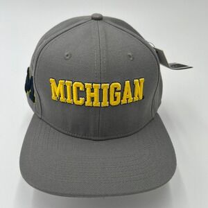 Michigan Wolverines Pro Standard Hat Gray Adjustable Embroidered‎ Wool Acrylic